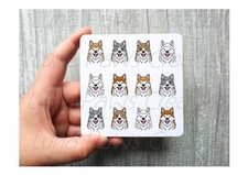 Japanese Akita Inu Coaster