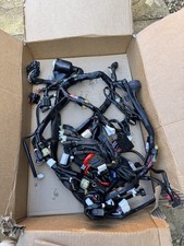 2022 Yamaha R1 Wiring Loom