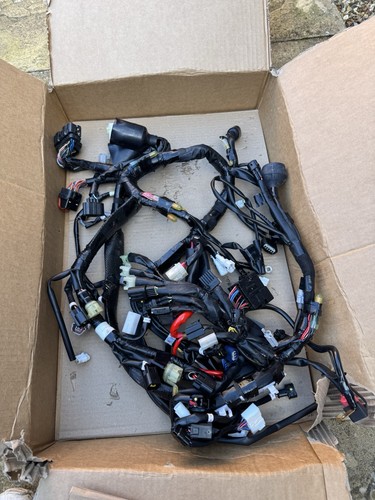 2022 yamaha wiring - 2022,
