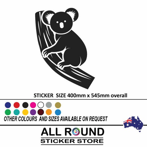 Large koala australian - large,