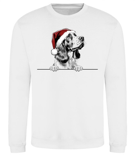 Welsh springer spaniel - springer,