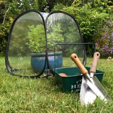 Garden grow outdoor - garden,