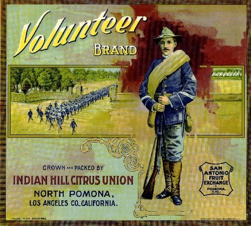 Pomona wwi army volunteer - pomona,