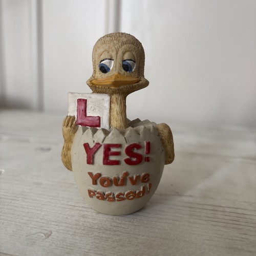 Eggbert passed driving test - , no