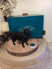 Leonardo Dog Studies Black