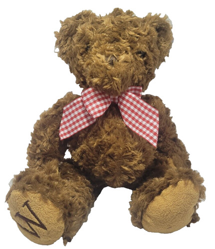 William teddy bear cuddly - william,