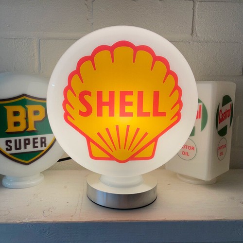 Shell medium inch - medium,