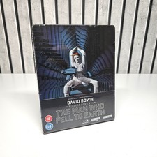 THE MAN WHO FELL TO EARTH