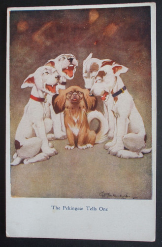 Studdy comic pekingese - studdy,