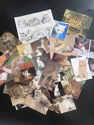 Vintage cats collage art - ,