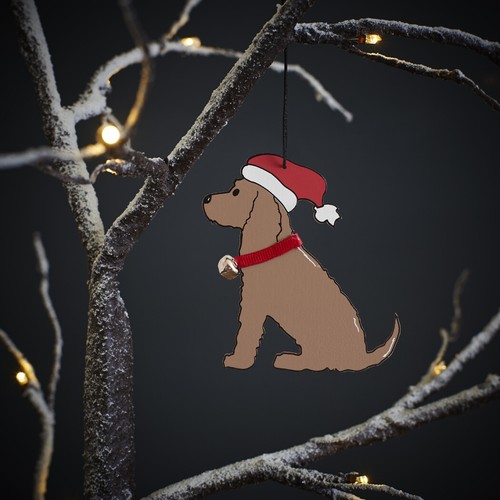 Liver brown cocker spaniel - brown,