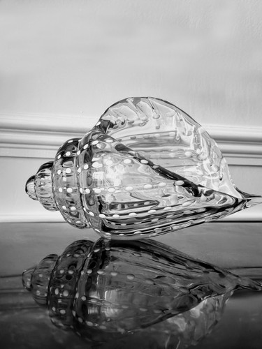 Shell ornament recycled - shell,