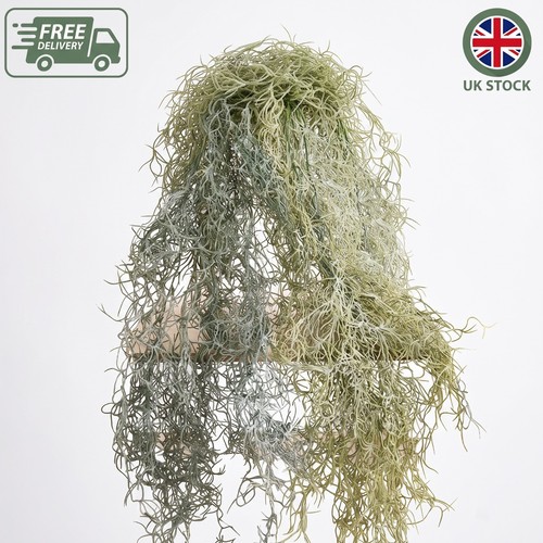 Bushy spanish moss - bushy,