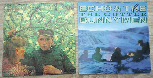 Echo and the bunnymen - echo,