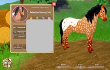 Wild Horse Islands V1 Friesian