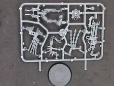 Necron Royal Warden indomitus on sprue - Warhammer 40K