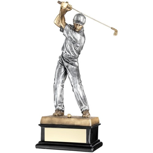 Golfer trophy bronze pewter - golfer,