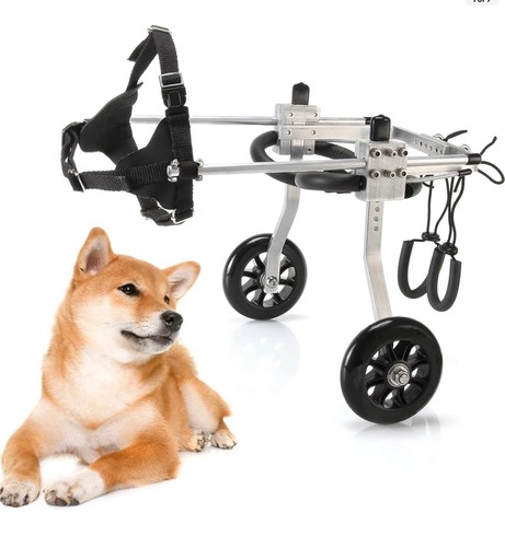 Medium dog wheelchair hind - dog,