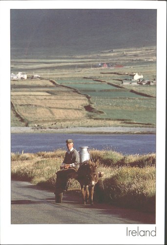Vintage 1998 ireland donkey - 1998,