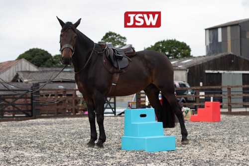 Portable step horse mounting - 3,