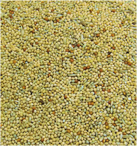 Colonels bbb budgie seeds feed - seeds,
