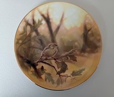 Country Artists Bone China 20cm diameter plate - "Goldcrest" by Dean Kendrick