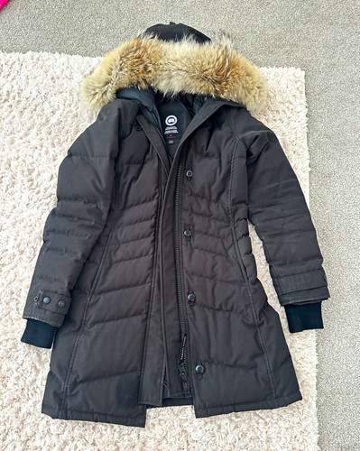 Canada goose lorette - canada,