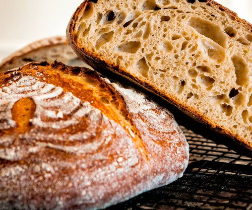 Sourdough starter dehydrated - sourdough,