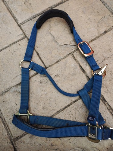 Shires padded headcollar - shires,