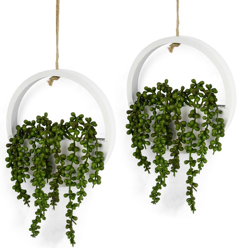 Pack hanging plant - 2,
