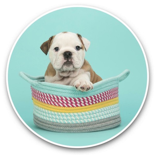 Vinyl stickers 15cm - 15cm,