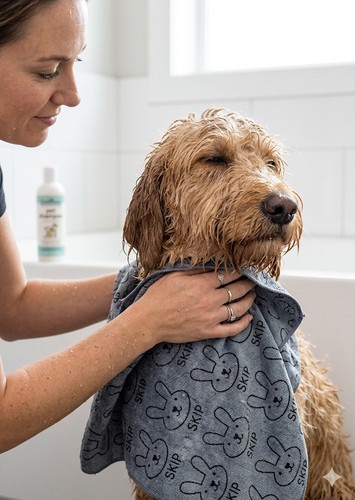 Quick drying microfiber - quick, dog