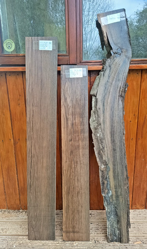 Bog oak morta wood - bog,