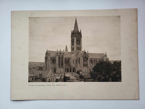 Vintage antique print 1906 - print,