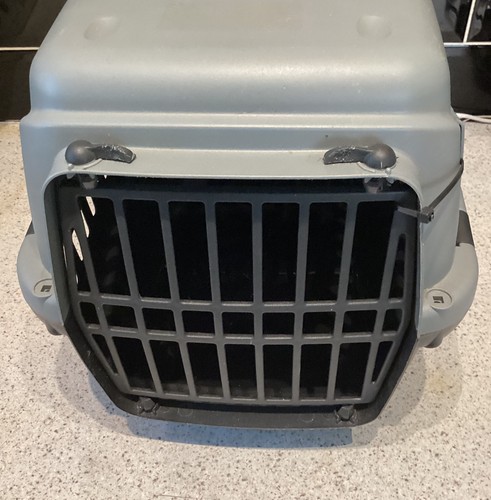 Ecoline cat puppy kitten - ecoline,