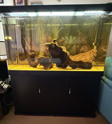 350l glass rectangular fish - 350l,
