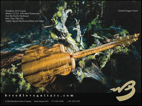 Breedlove a25 select tonewoods - a25,