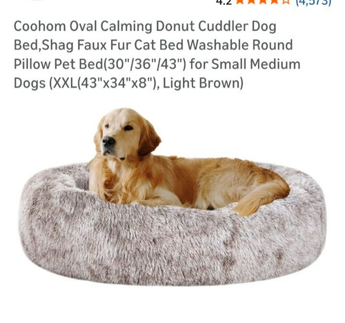 Xxl oval dog - xxl,
