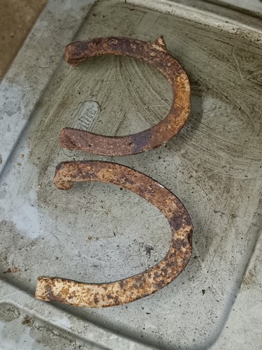 Used draft horse shoes - used,