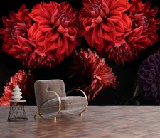 Flowers Red Dahlia Buds