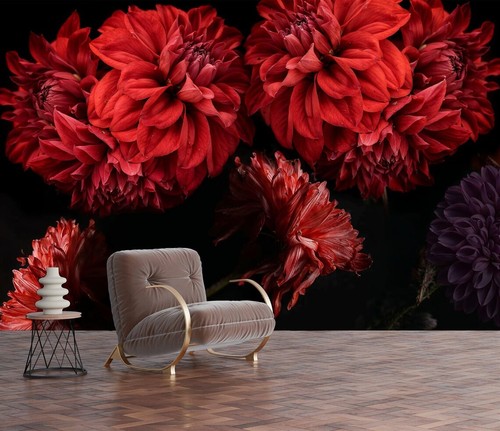 Flowers red dahlia - flowers,
