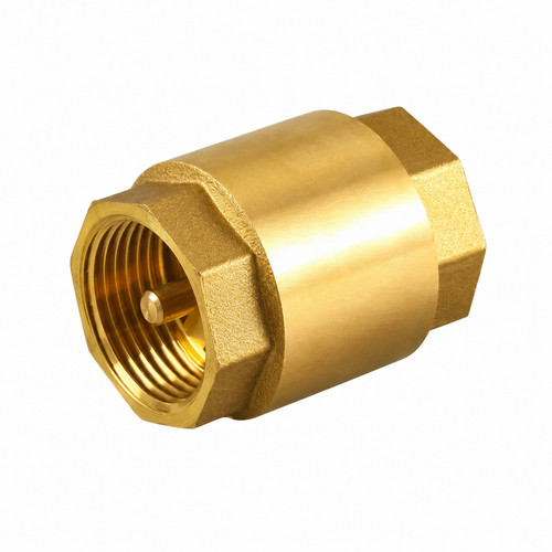Brass spring check valve non - brass,