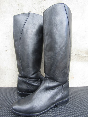 Rare golden goose - goose, equestrian