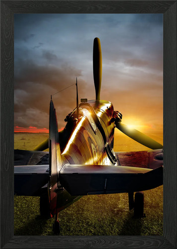 Spitfire ready for action - ready,