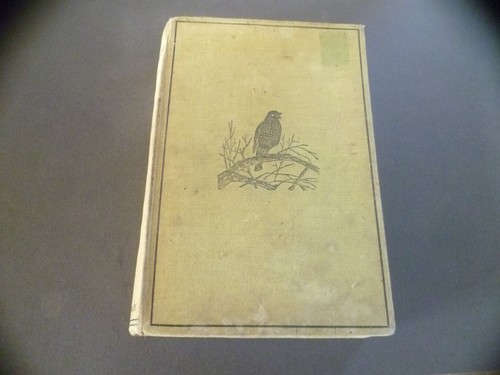 British birds h hudson - british,