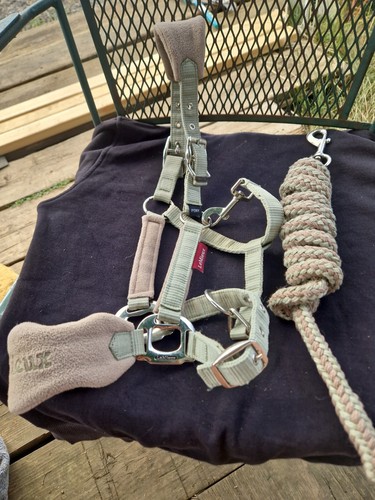 Lemieux headcollar leadrope - lemieux, &