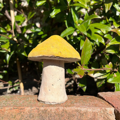 Concrete toadstool mushroom - toadstool,