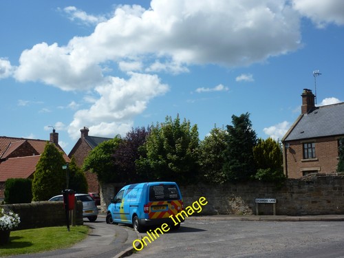 Photo 12x8 sycamore lane - photo,