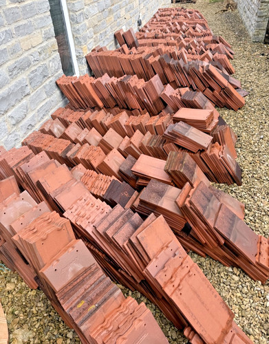 Rosemary red plain - red, clay
