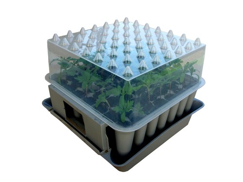 Agralan compact plug plant - agralan,